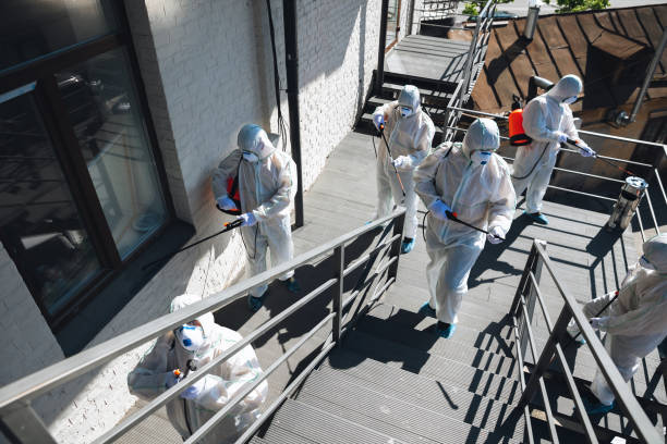 Best Forensic Mold Investigation  in Blythe, CA