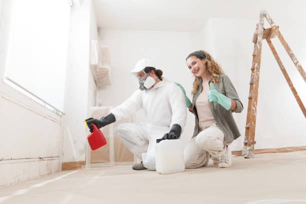 Reliable Blythe, CA Mold Removal Solutions
