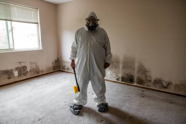 Best Mold Removal for HVAC Installations  in Blythe, CA